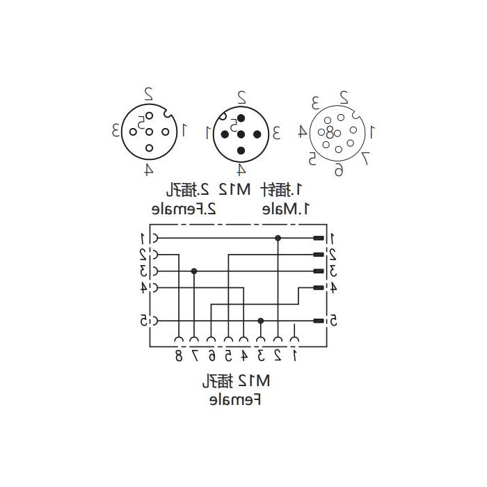 M12 8Pin母头/M12 5Pin公头+M12 5Pin母头、三通接头、648551